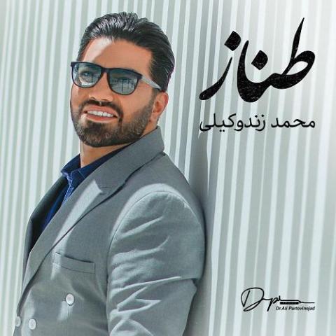 دانلود آهنگ محمد زندوکیلی دل آواره گردم گشته افسونت تشنه تشنه ببر دانلود آهنگ محمد زندوکیلی دل آواره گردم گشته افسونت تشنه تشنه ببر
